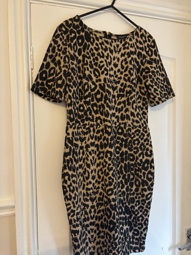 Warehouse leopard animal - warehouse,